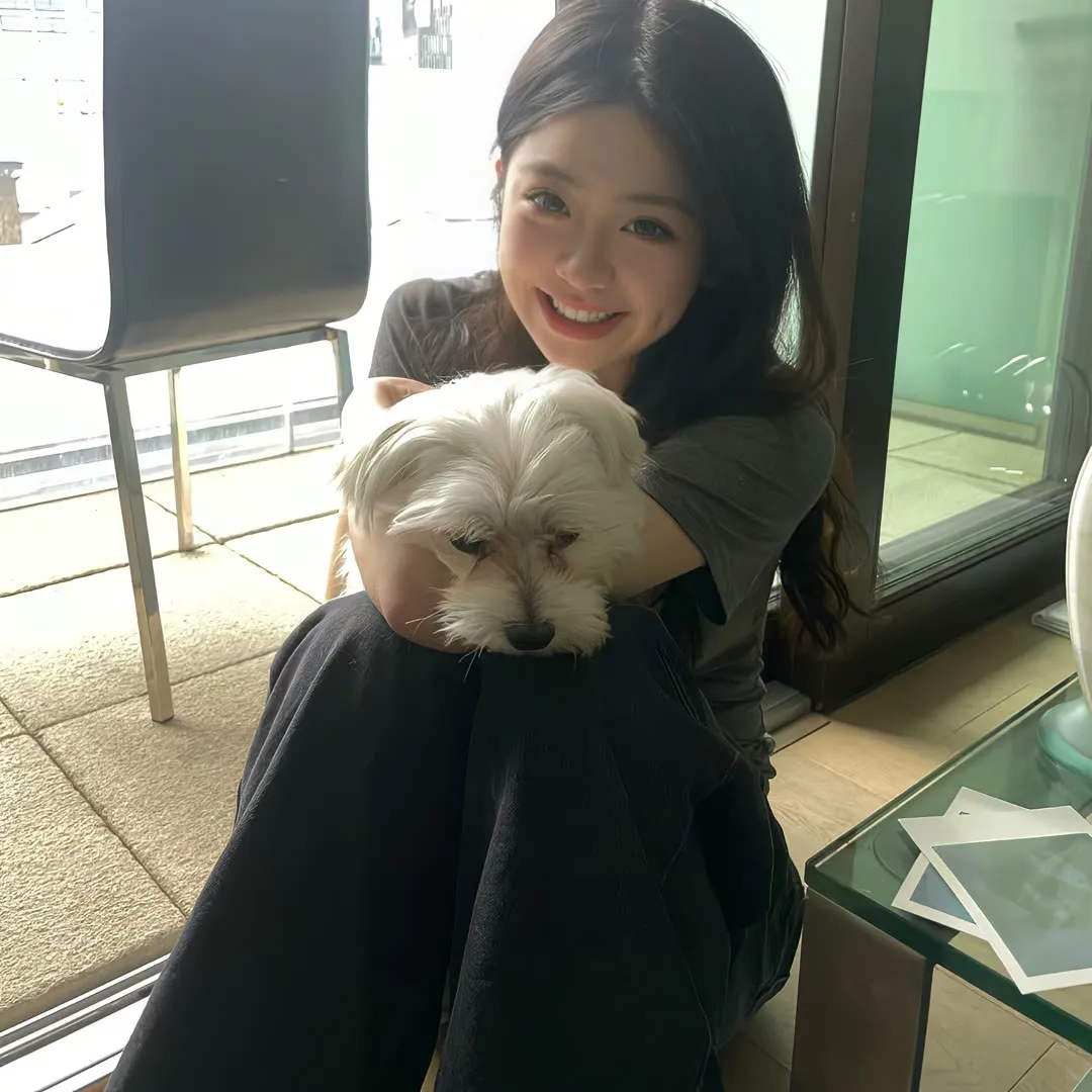 生化危机：复仇